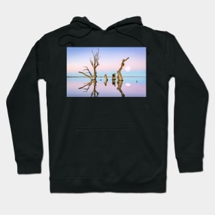 S E R E N I T Y Hoodie